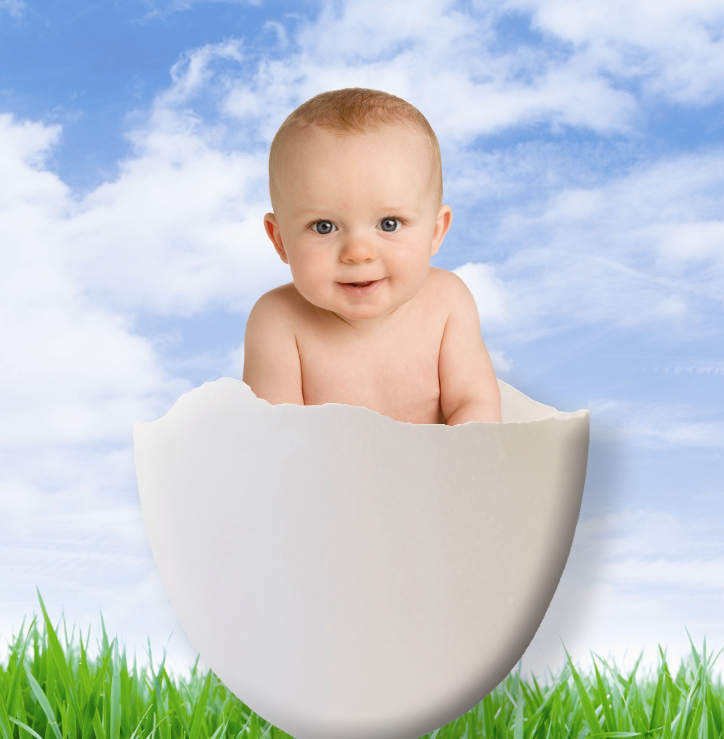 Baby in egg