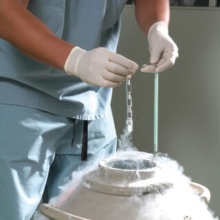 Embryos which are not used for implantation in the uterus are then stored by freezing them