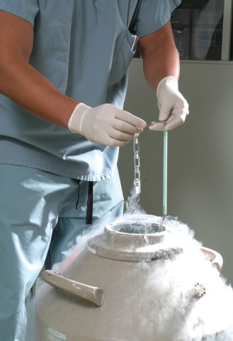 cryopreservation