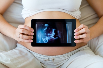Egg Donor