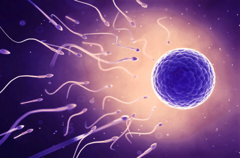 male infertility