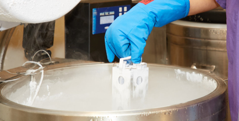 Egg Freezing