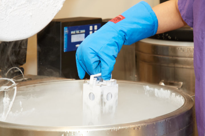 Egg Freezing