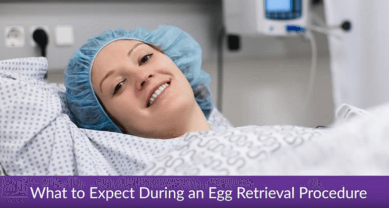 Egg retrieval