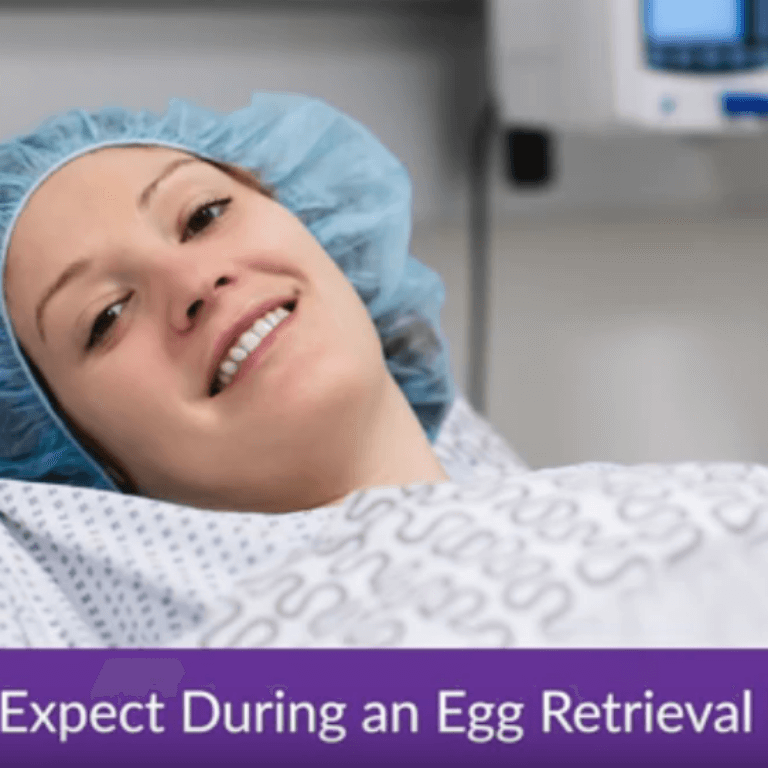 Egg retrieval