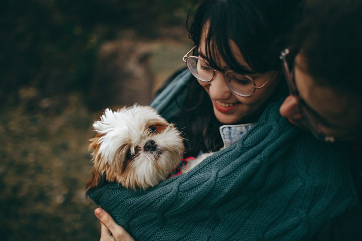 Pet Therapy