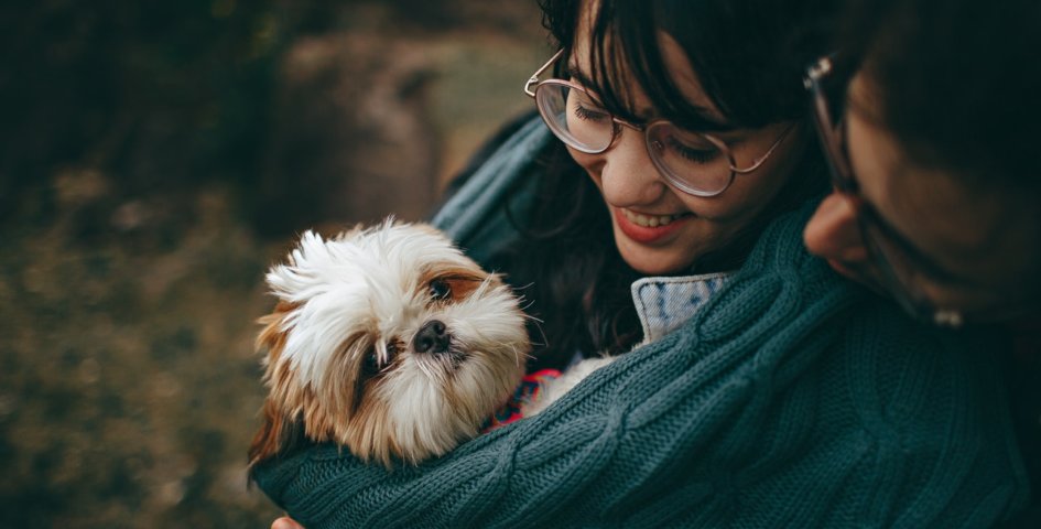 Pet Therapy