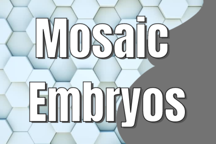 mosaic embryos