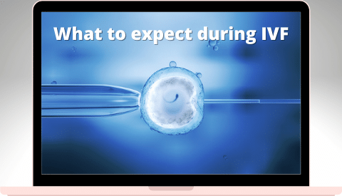 What to expect during IVF