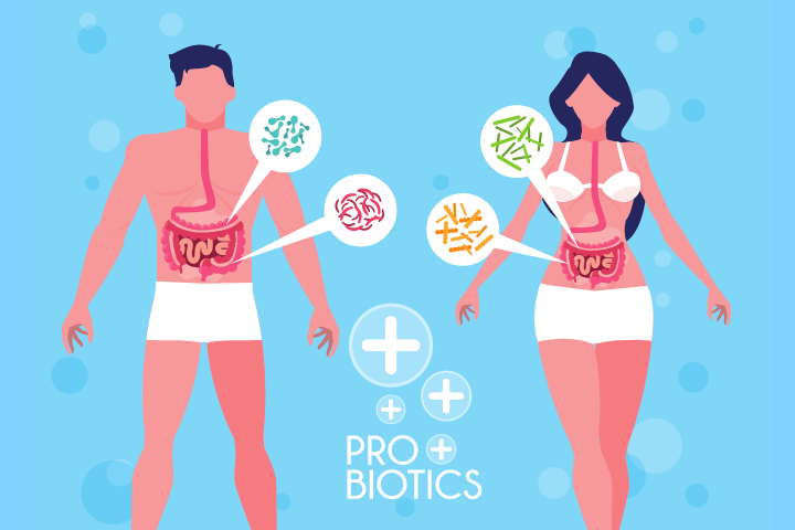 Probiotics Boost Fertility