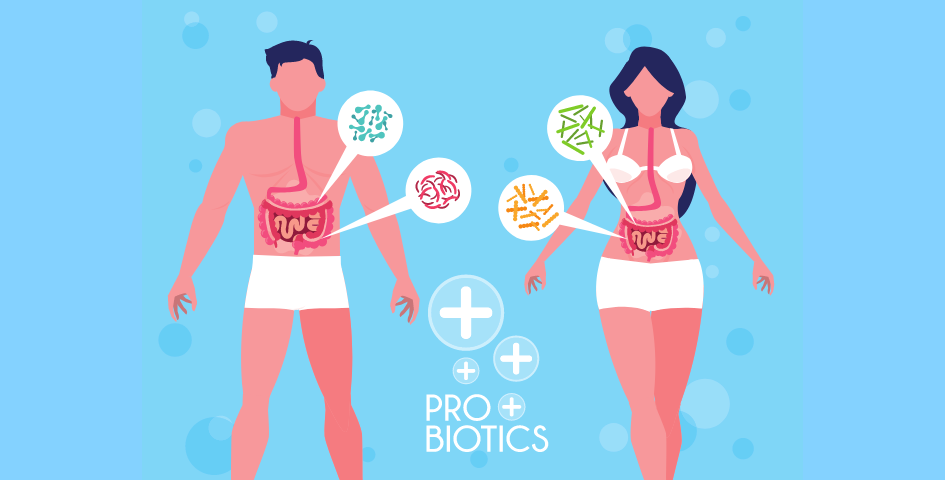 Probiotics Boost Fertility
