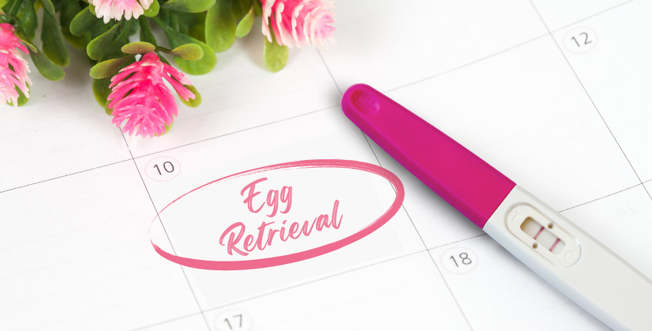 Learn what happens during the two week wait after egg retrieval